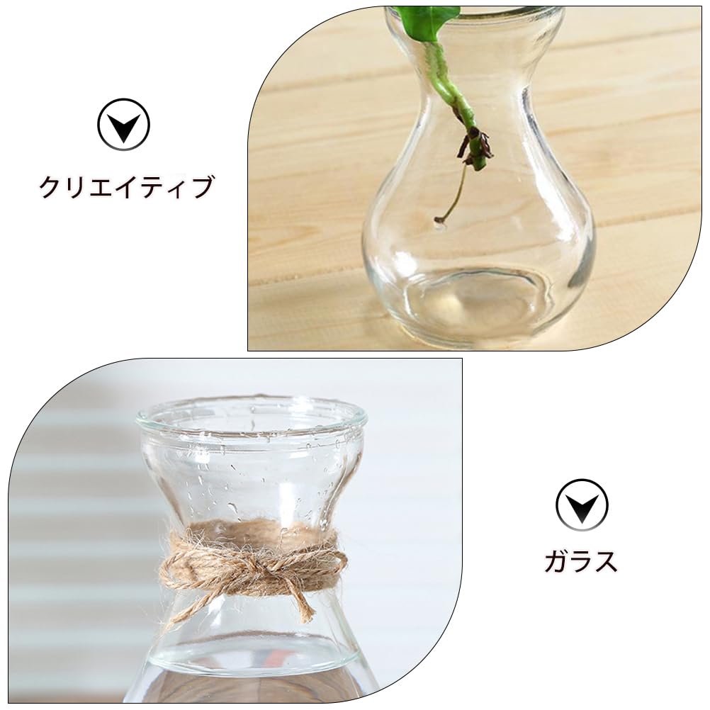 Amazon.co.jp: GANAZONO ヒヤシンス 花瓶 ガラス 水栽培 容器